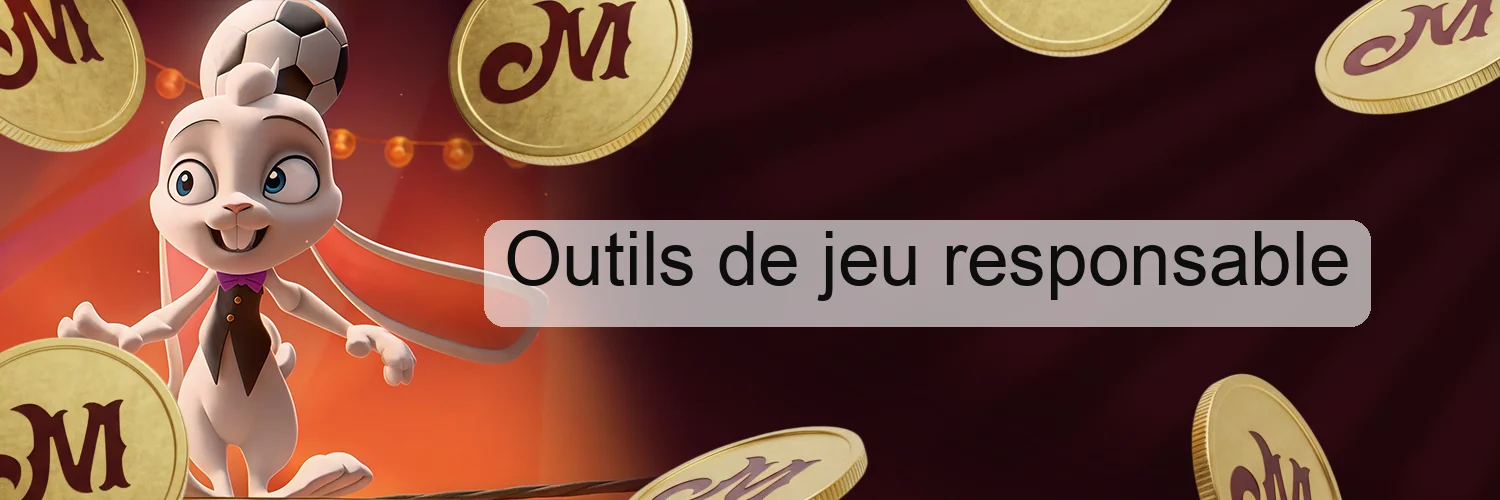 Outils de jeu responsable Outils de jeu responsable